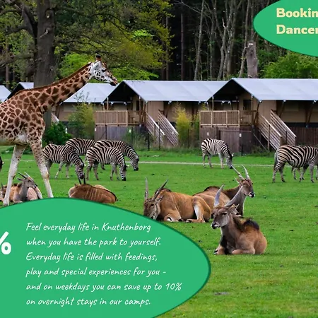 4 Person On A In Apartamento Borre