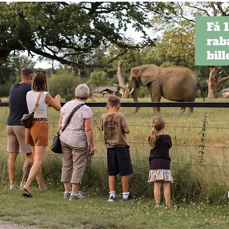 4 Person On A In Apartamento *