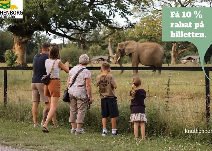 4 Person On A In Appartement *