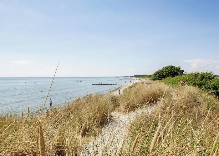 4 Person On A In Appartement Borre